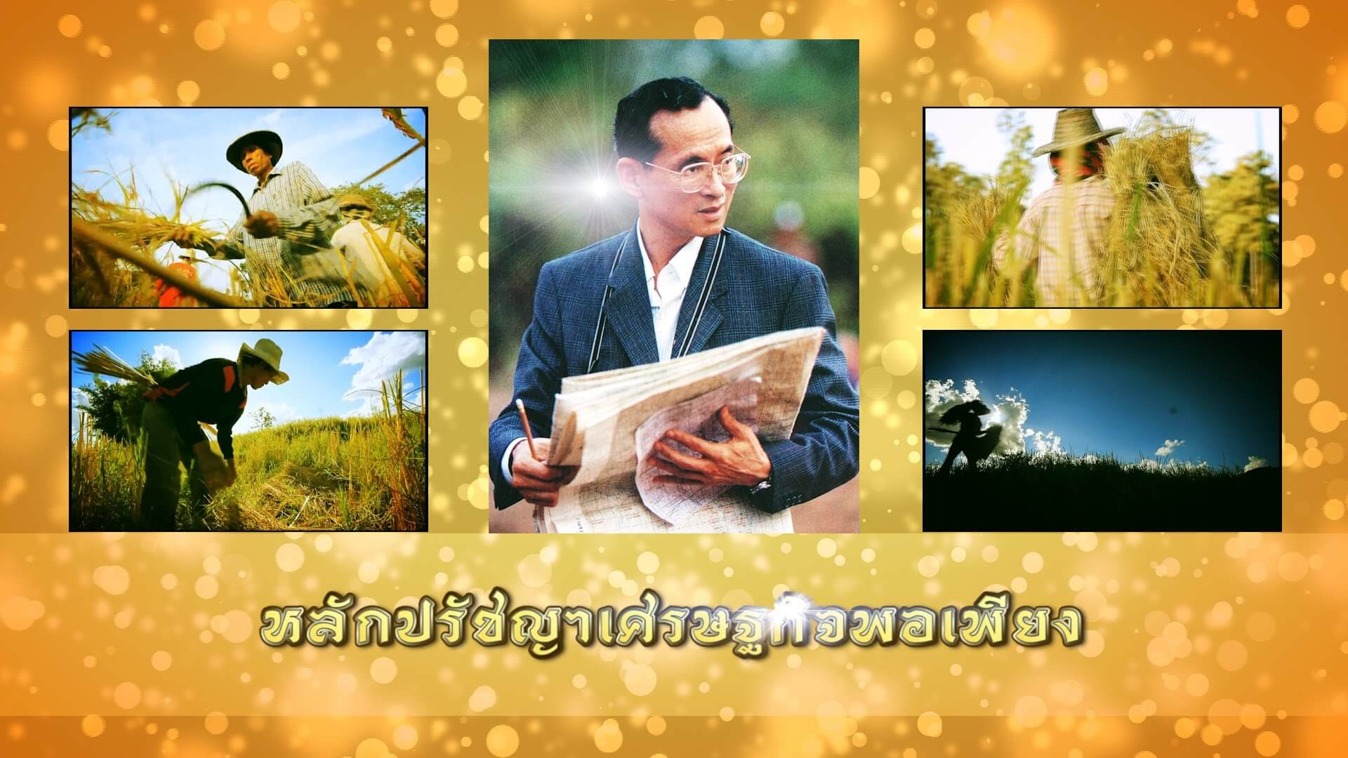 โครงการเศรษฐกิจพอเพียง